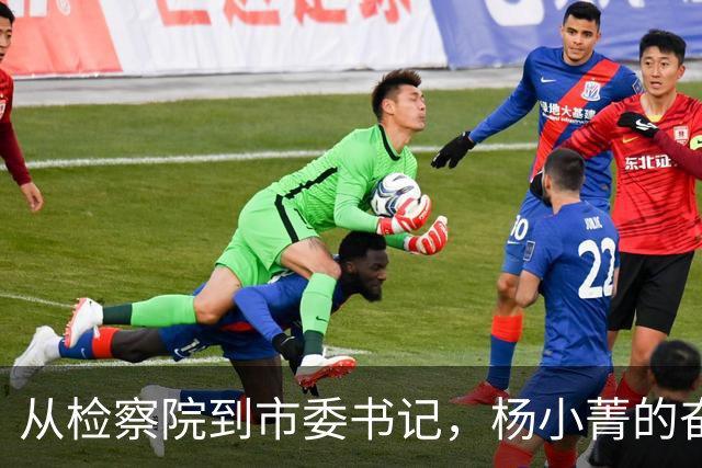 从检察院到市委书记，杨小菁的奋斗之路